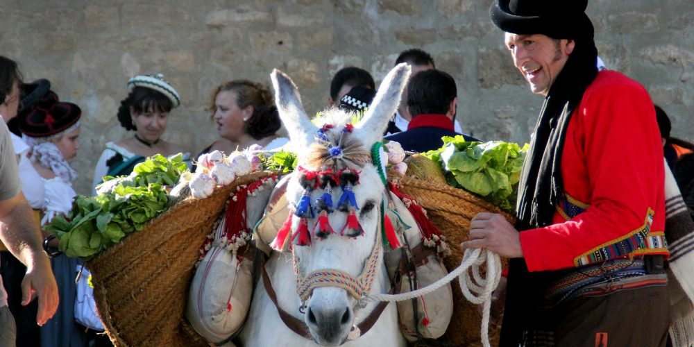 Turismo de Ronda prepares campaign to relaunch the sector once the Covid-19 coronavirus crisis is over