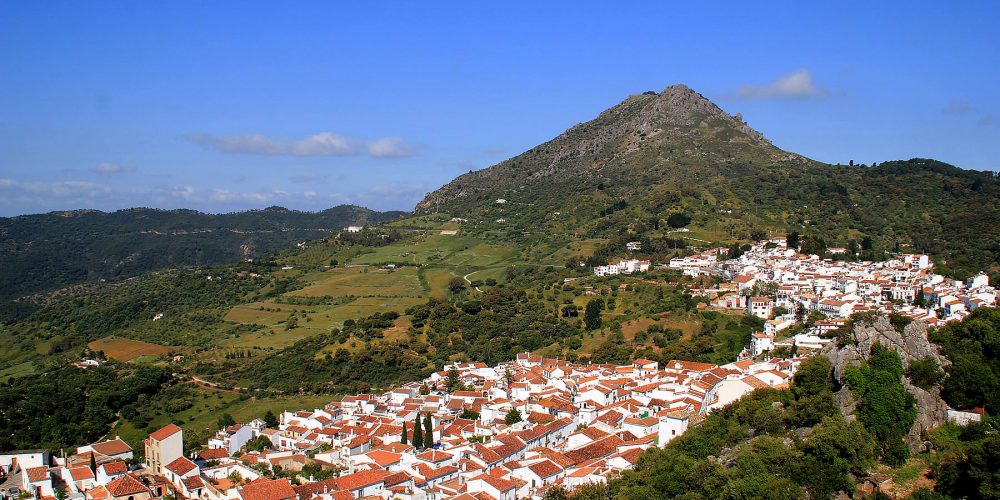 Junta de Andalucia develops a ‘shock plan’ to revive the tourism sector in the face of the Covid-19 coronavirus crisis