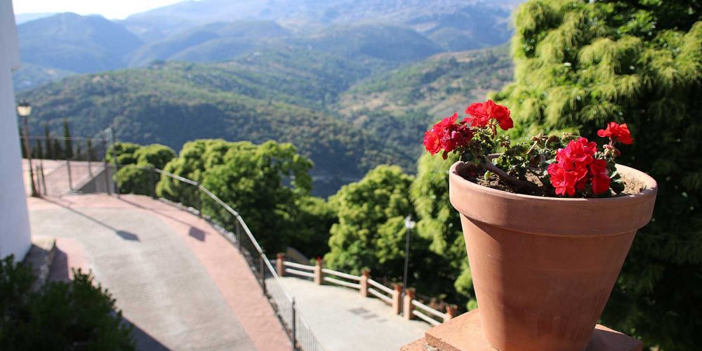 IN PICTURES: Pujerra – white village of the Genal Valley