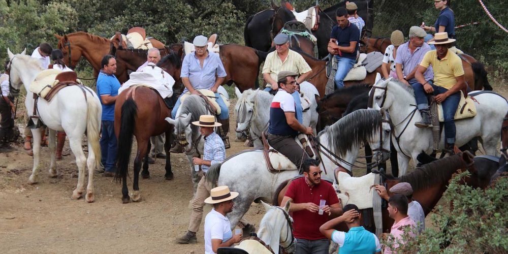 ALGATOCIN: Horse riding competitions
