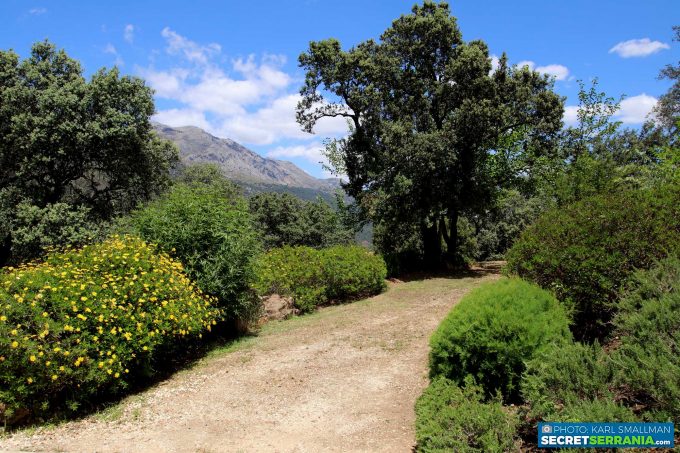 Casa Rural Zen – Finca Alfacara - Benalauría