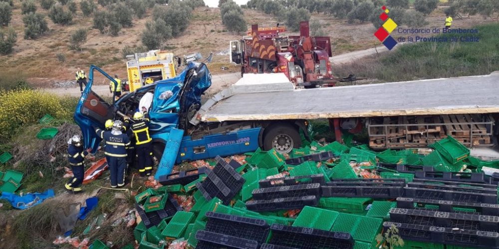 Lorry driver transporting food dies in crash on A-384