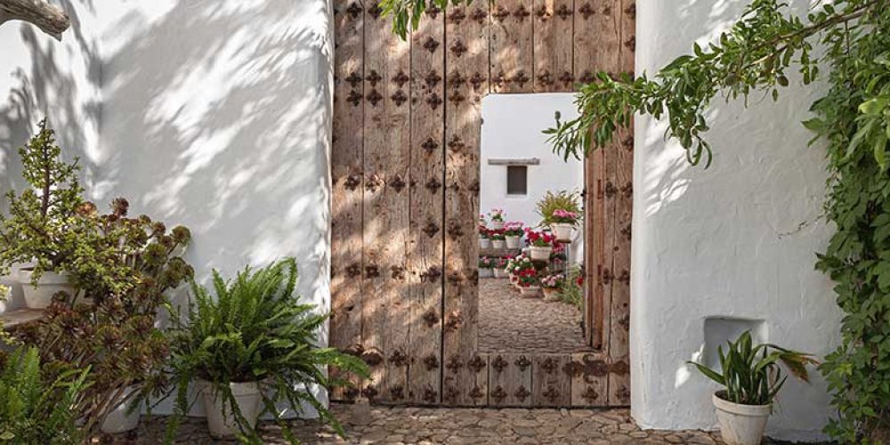 Baños de bosque, mindfulness con burros y vinos naturales protagonistas en la reapertura de La Donaira