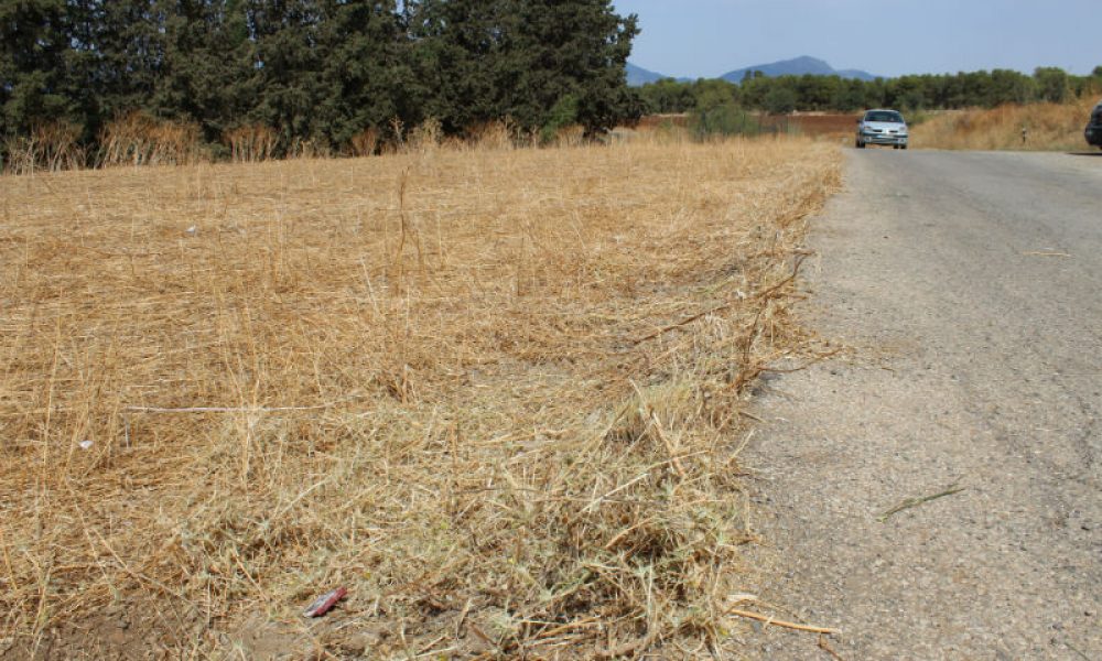 La Diputación aporta este año 4,4 millones de euros a 45 municipios para el arreglo de caminos rurales
