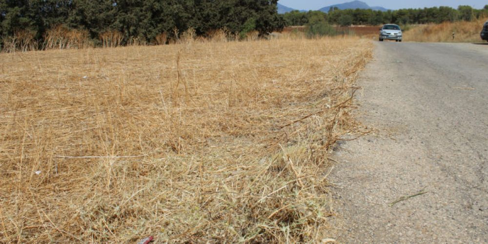 La Diputación aporta este año 4,4 millones de euros a 45 municipios para el arreglo de caminos rurales