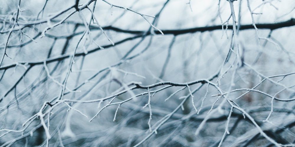 AGENCIA ESTATAL DE METEOROLOGÍA: Aviso especial de fenómenos adversos