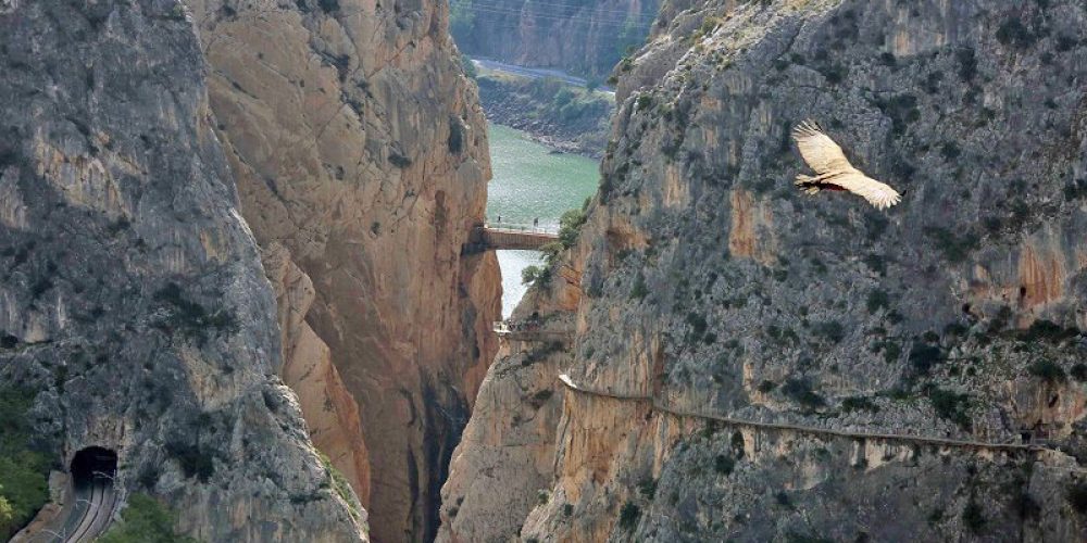 Vendidas en una semana casi 3.500 entradas para volver a visitar el Caminito del Rey a partir del 12 de junio