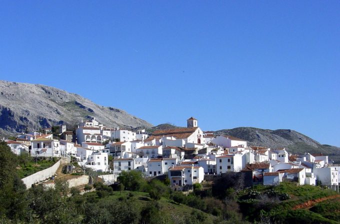 Town Hall &#8211; Cartajima