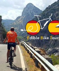 Edible Bike Tours