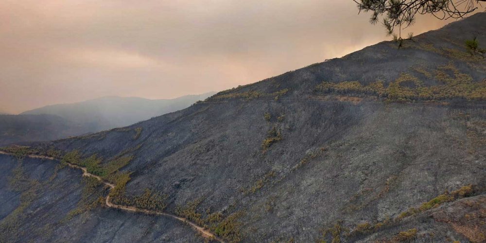 The huge Sierra de Bermeja fire is declared ‘controlled’