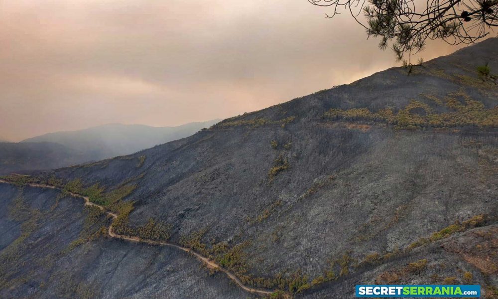 The huge Sierra de Bermeja fire is declared ‘controlled’