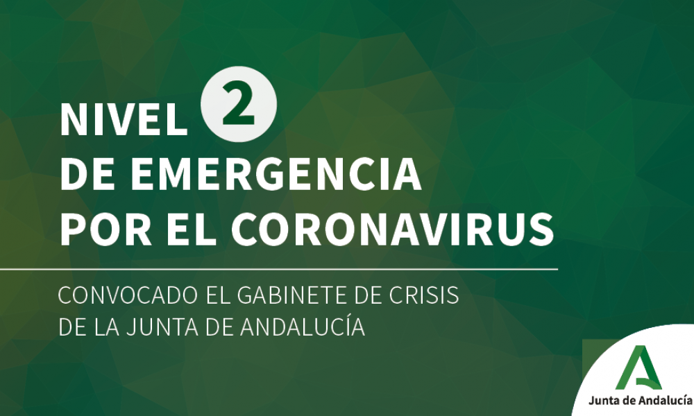 CORONAVIRUS CRISIS – Andalucia’s regional government declares ‘Level 2’ state of emergency