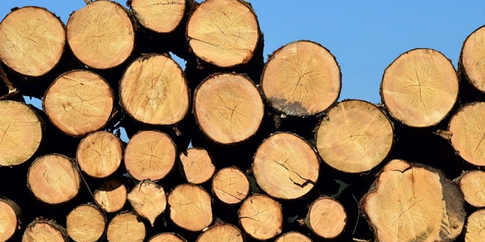 LOG BLOG: How to keep warm and cosy during winter in Spain