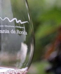 Milamores Wine Tourism