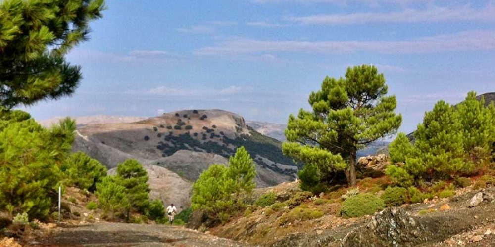 Walking and mountain biking in Spain’s new Sierra de las Nieves National Park