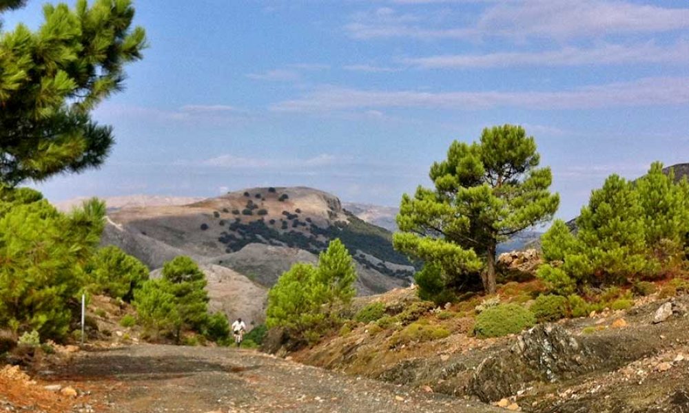 Walking and mountain biking in Spain’s new Sierra de las Nieves National Park