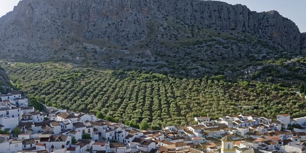 TURISMO RURAL ANDALUCÍA: Primeros indicios de recuperación
