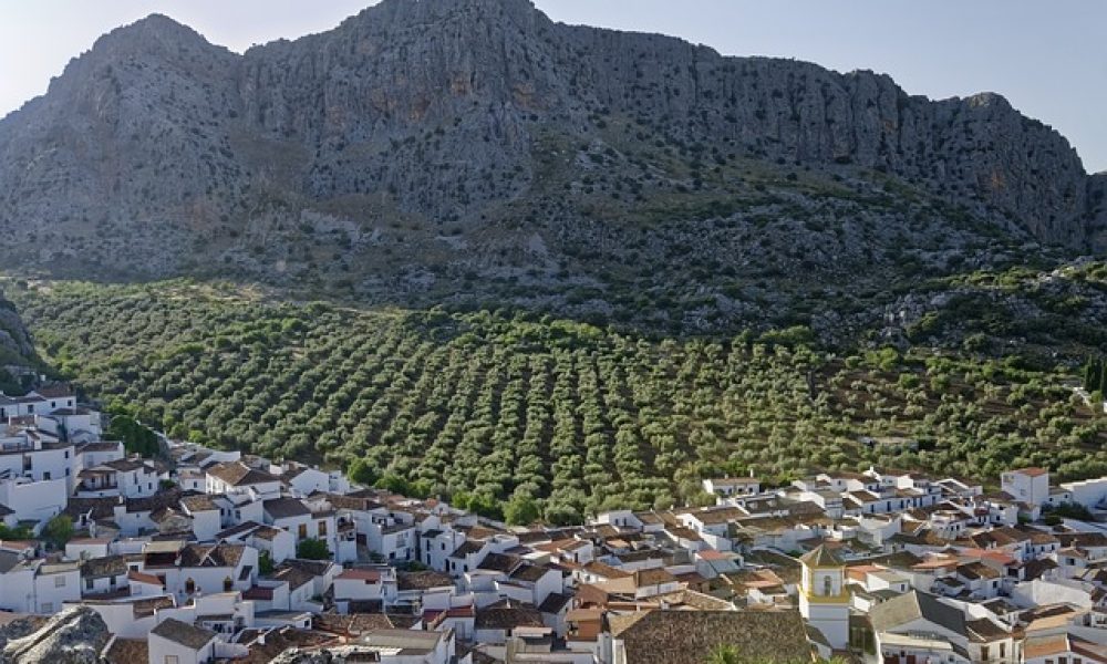 TURISMO RURAL ANDALUCÍA: Primeros indicios de recuperación