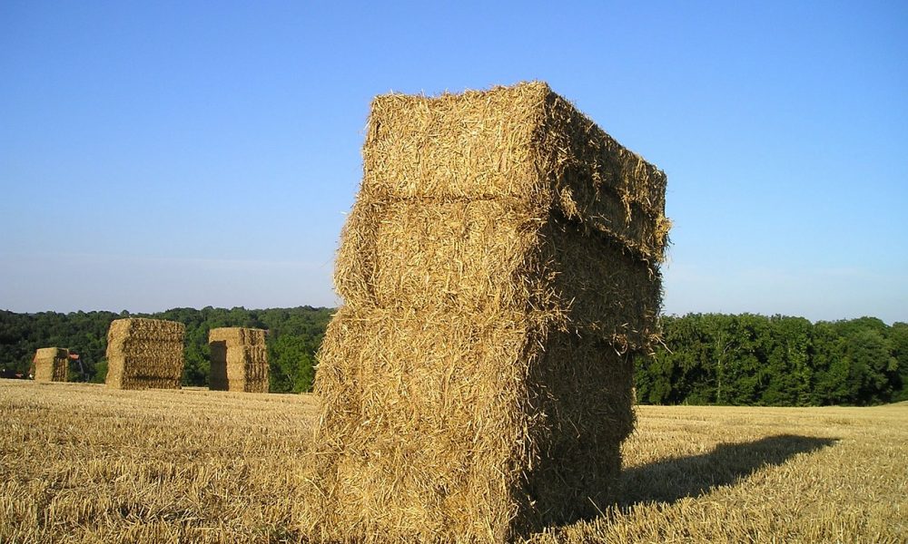 Serendipity – straw bales, double doors and a house for sale