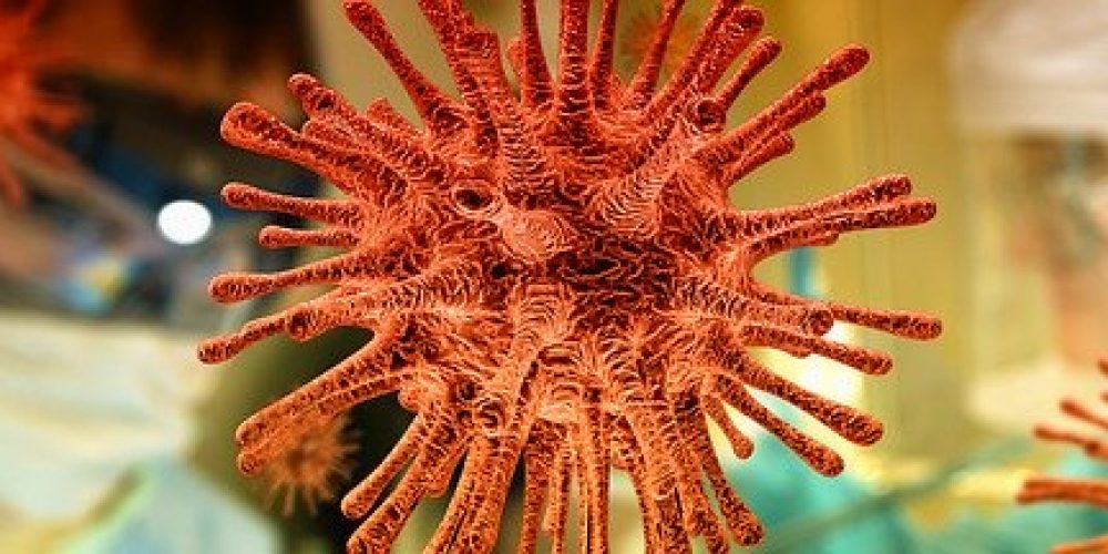 Spain’s national government distributes one million more rapid tests of detection of antibodies for early diagnosis of COVID-19