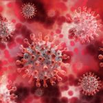 ¿Qué oculta el coronavirus? Víctimas ocultas de la pandemia